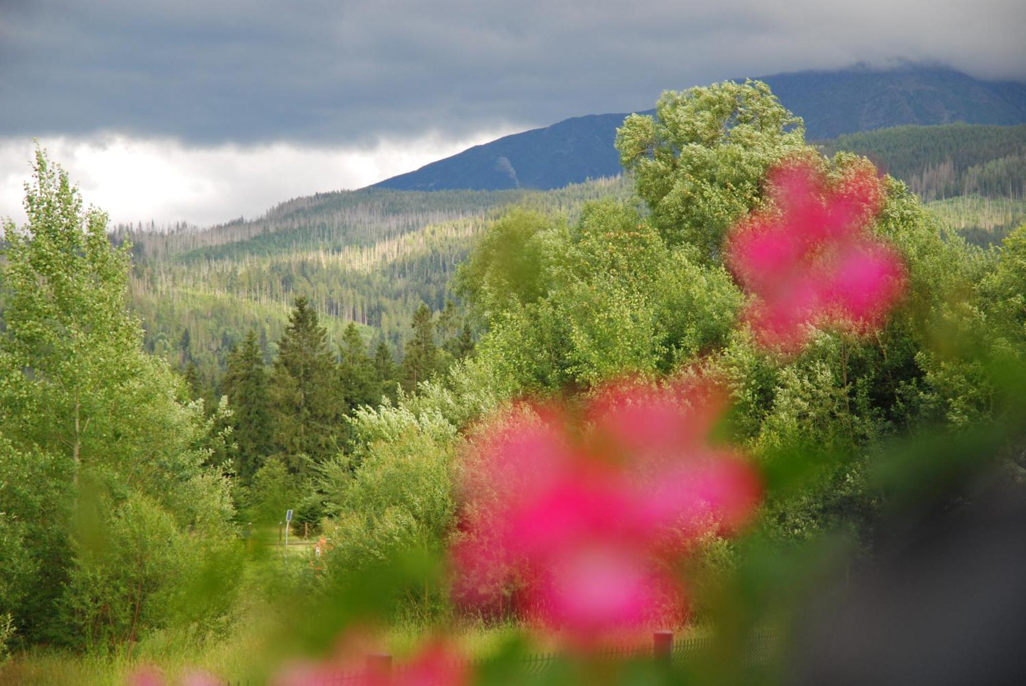 Pokoje "Czarna Turnia "Zakopane Exterior foto